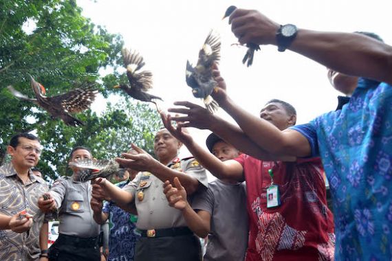 Lihat, Ratusan Burung Diselundupkan ke Pulau Jawa - JPNN.COM