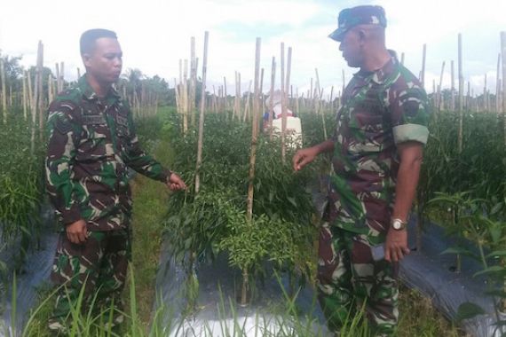 Junaedy, Anggota TNI Ini Bisa Hasilkan Miliaran Rupiah - JPNN.COM