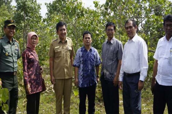50 Ribu Hektar Lahan Jagung Disiapkan di Malaka - JPNN.COM