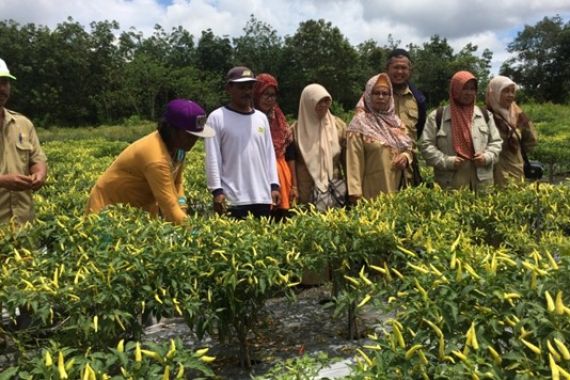 Pensiunan Guru Raup Untung Bersih Rp 100 Juta Per Tahun - JPNN.COM