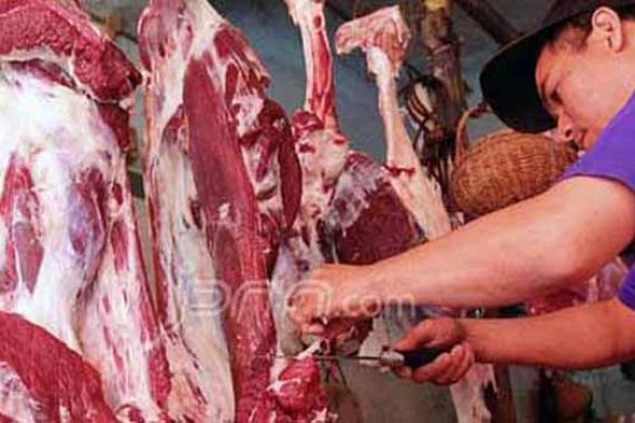 Sapi Impor Masuk, Harga Daging Tetap Tinggi - JPNN.COM