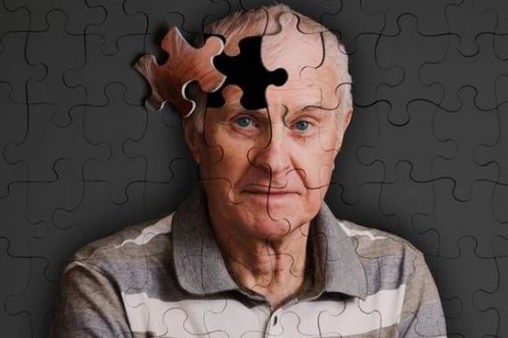 Yuk Cegak Risiko Alzheimer dari Sekarang - JPNN.COM