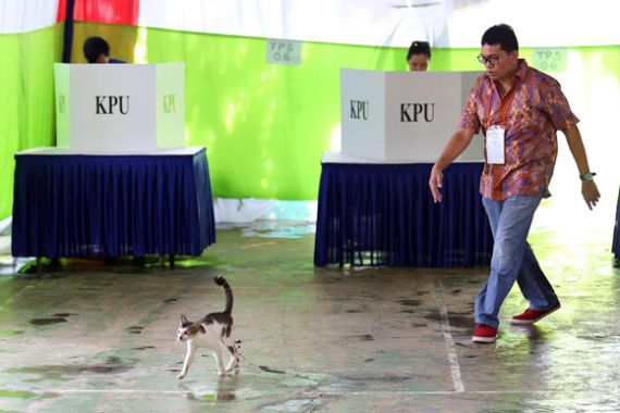 Tim Ahok-Djarot: Dukungan Partai Penting, tapi... - JPNN.COM