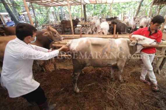 Industri Susu Diharapkan Serap Produksi Peternak Lokal - JPNN.COM