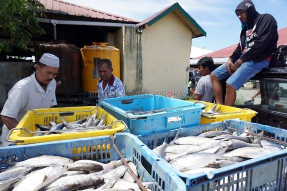 3 Besar Negara Tujuan Ekspor Ikan dan Udang Jatim - JPNN.COM