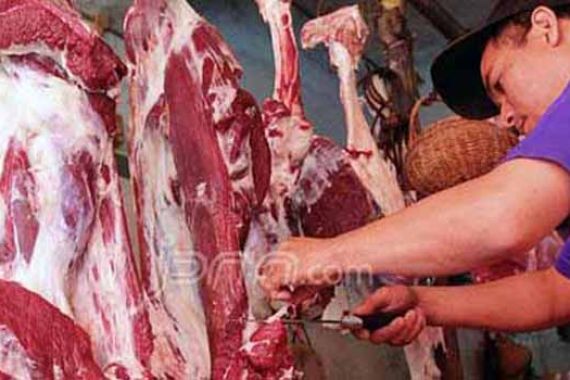Daging Impor Marak, Pemotongan Sapi Menurun - JPNN.COM