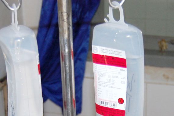 Rumah Sakit Tak Punya Obat Rabies untuk Korban Serangan Kera - JPNN.COM