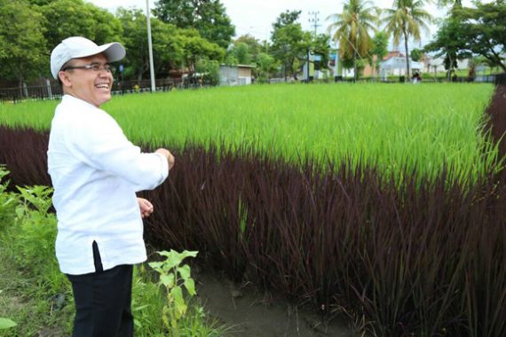 Unik, Banyuwangi Gelar Agro Expo di Lahan Pertanian Tengah Kota - JPNN.COM