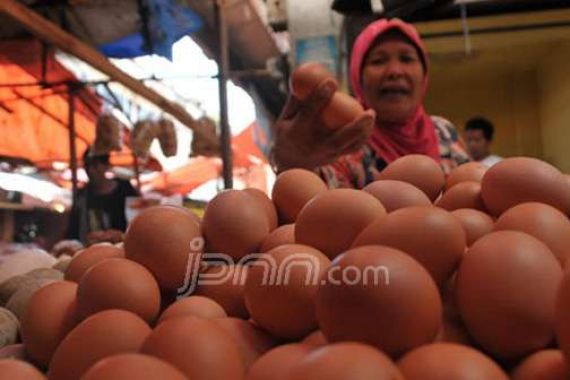 Kementan Gerojok Pasar dengan Telur Ayam, Rp 19.500 per Kg - JPNN.COM