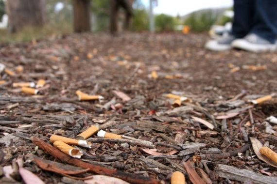 Berani Membuang Puntung Rokok dari Mobil di Sydney, Siap-Siap Saja Didenda Rp 106 Juta - JPNN.COM