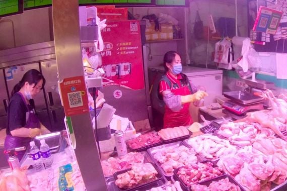 Pembatasan Pasar Hewan di Tiongkok Dikhawatirkan Tingkatkan Perdagangan Gelap - JPNN.COM