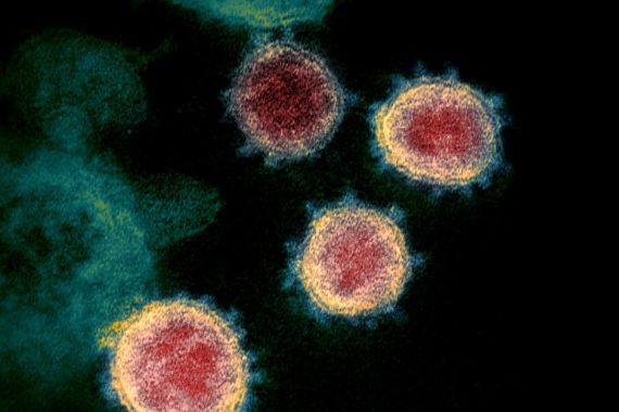 Sejumlah Jenis Baru Virus Corona Mengkhawatirkan Tapi Para Pakar Optimis - JPNN.COM