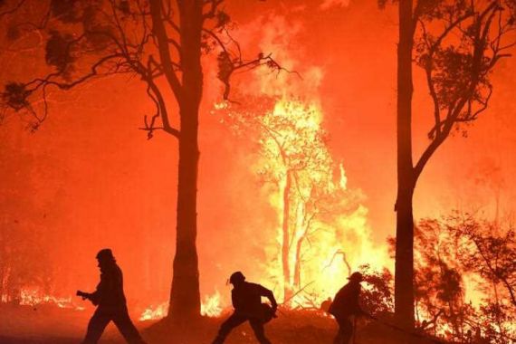 Teganya, Ada Penipuan Berkedok Sumbangan untuk Korban Kebakaran Hutan Australia - JPNN.COM
