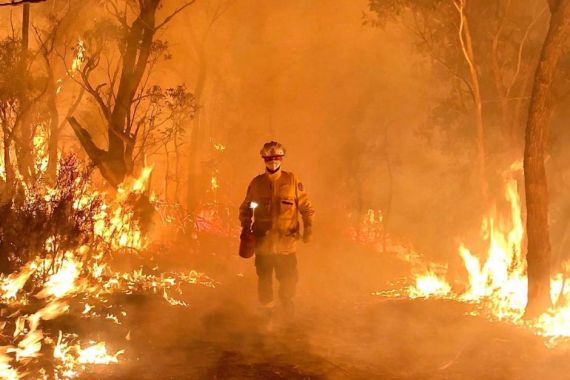 Tetangga Ramai-Ramai Bantu Australia Bantu Atasi Kebakaran Hutan - JPNN.COM