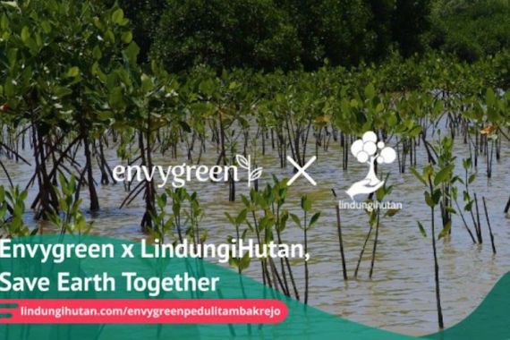 Upaya Envygreen dan Lindungi Hutan Menyelamatkan Bumi - JPNN.COM