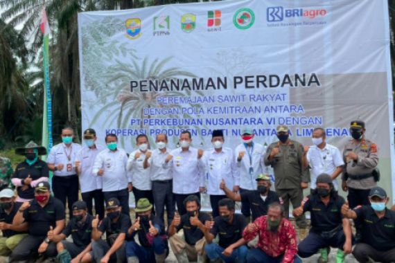 Gandeng Koperasi, PTPN VI Jambi Gelar Penanaman Peremajaan Sawit Rakyat - JPNN.COM