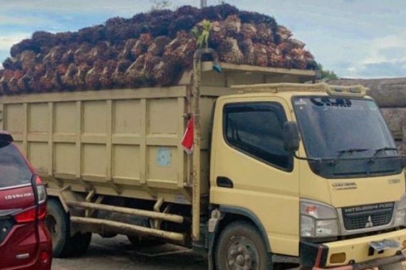Soal Penyerobotan Lahan 200 Petani Sawit di Riau, Bareskrim Periksa 37 Orang Saksi - JPNN.COM