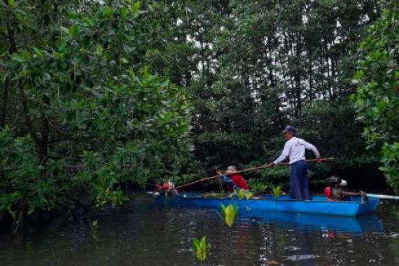 Kembangkan Mangrove, Pupuk Kaltim Raih Penghargaan AREA 2021 - JPNN.COM