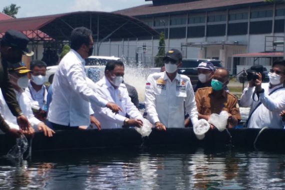 Komite II DPD RI Tinjau Tambak Udang Vaname di Aceh Timur - JPNN.COM