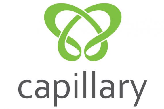 Upaya Capillary Technologies Tingkatkan Loyalitas Pelanggan - JPNN.COM