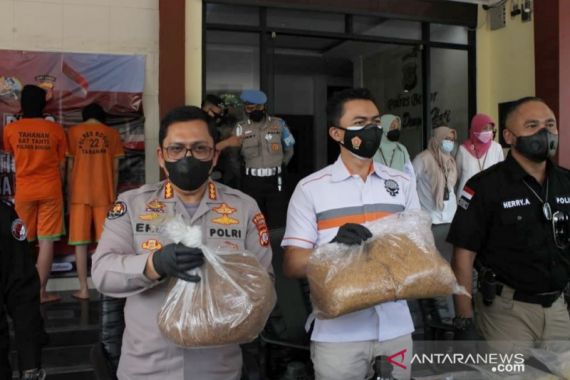 Biang Tembakau Sintetis Asal China Masuk Indonesia, Sebegini Banyaknya, Wow - JPNN.COM