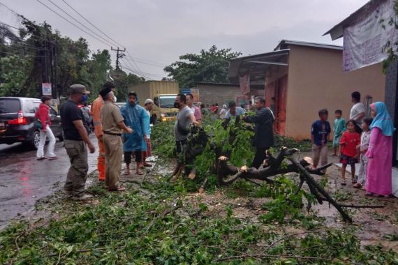Hujan Lebat, Belasan Pohon Tumbang Menimpa Rumah Sampai Mobil di Depok - JPNN.COM