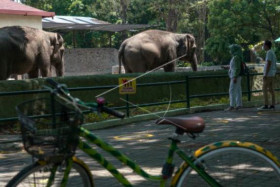 Tegas, Pengelola Kebun Binatang Gembira Loka Zoo Tolak Ratusan Wisatawan - JPNN.COM
