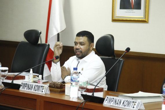 Senator Filep Tanggapi Gugatan Perdata Luhut ke Haris Azhar & Fatia - JPNN.COM