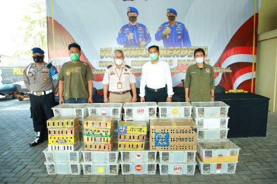 Ditpolairud Polda Jatim Gagalkan Penyelundupan dari Kalimantan, Ini Temuannya - JPNN.COM