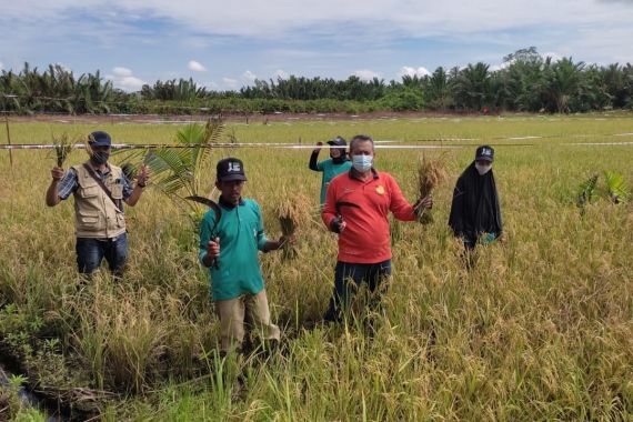 SDM Petani Kalbar Meningkat, Mentan: Sekolah Lapang Punya Peran Strategis - JPNN.COM