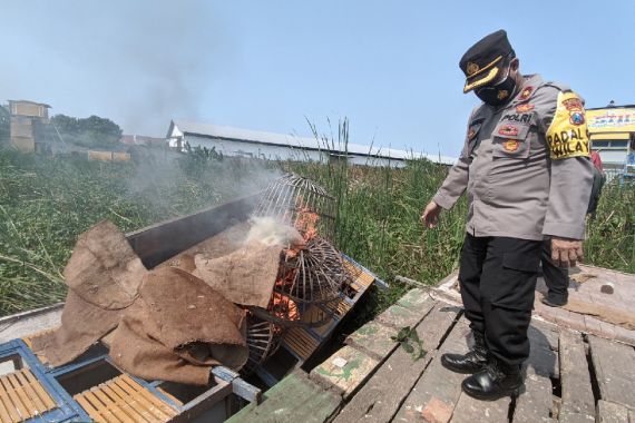 Polisi Gerebek Lokasi Perjudian Burung Dara, Terjadi Pembakaran - JPNN.COM