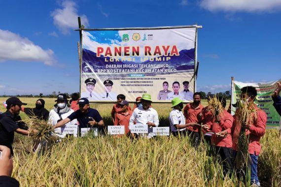 Petani Sidrap Panen Dua Kali Lipat - JPNN.COM