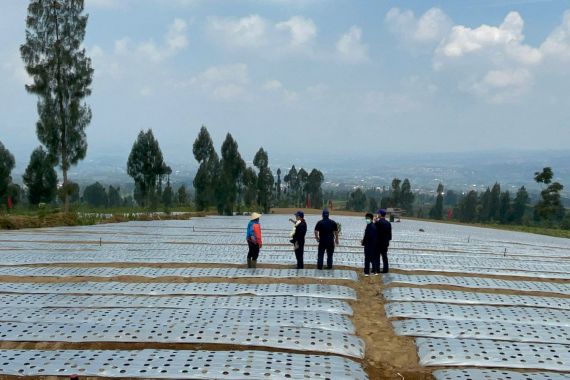 Mentan SYL: Temanggung Dinilai Cocok jadi Sentra Hortikultura - JPNN.COM