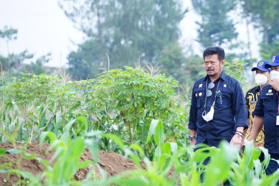 Mentan SYL Dorong 2 Kabupaten Ini jadi Food Estate Berbasis Hortikultura - JPNN.COM