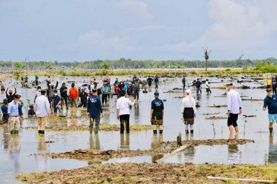 Jokowi Bersama Duta Besar Negara Sahabat Berkunjung ke Kaltara, Ada Pejabat World Bank - JPNN.COM