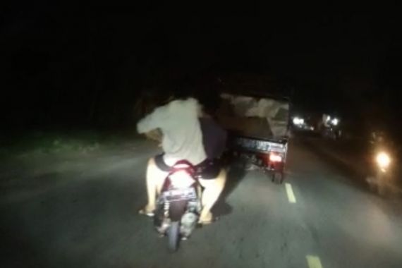 Video Bajing Loncat Beraksi di Jalan Soekarno-Hatta Viral, Lihat Tuh Aksinya - JPNN.COM