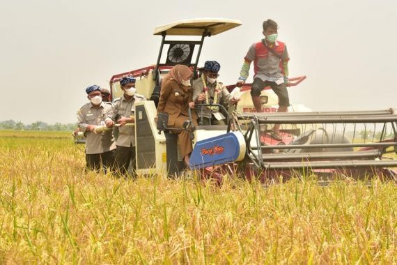 FAO Apresiasi Pembangunan Pertanian Indonesia di Masa Covid-19 - JPNN.COM