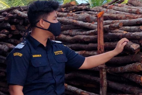 Bea Cukai Kepri Gagalkan Penyelundupan 6.472 Kayu Teki ke Malaysia - JPNN.COM