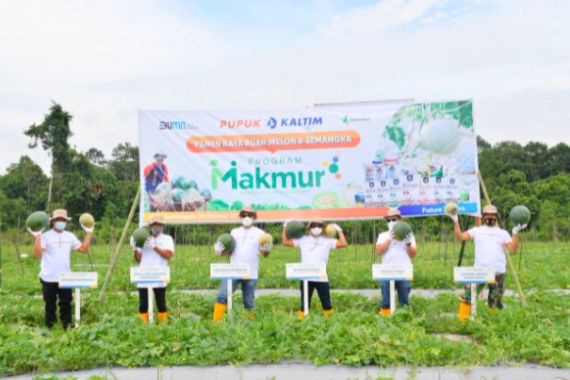 Program Makmur Pupuk Kaltim Tingkatkan Produktivitas Melon & Semangka di Kutai Kartanegara - JPNN.COM