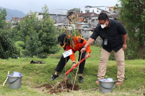 Pemkot Batu Dapat Bantuan Seribu Bibit Pohon untuk Penghijauan - JPNN.COM