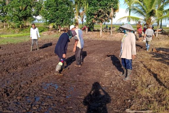 Produktivitas Petani di Kubu Raya Kalbar Meningkat - JPNN.COM