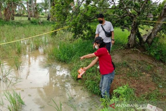 Ada Mayat Pelajar di Persawahan, Kondisi Mengenaskan - JPNN.COM