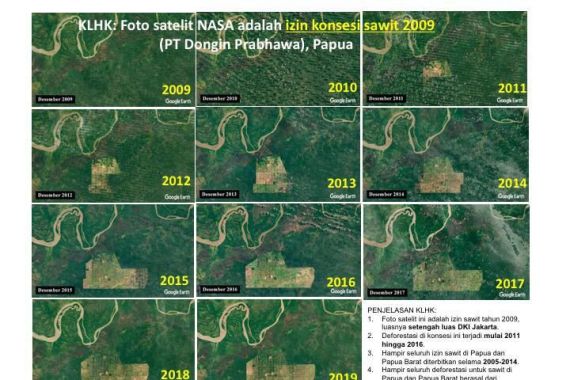 KLHK Mengklarifikasi Foto Satelit NASA Menggambarkan Kegundulan Hutan Papua - JPNN.COM