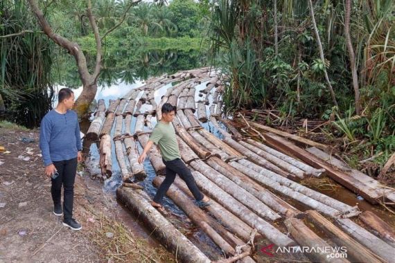Polda Riau Sikat Anak Jenderal Terlibat Illegal Logging, Mabes Polri Kirim Bantuan - JPNN.COM