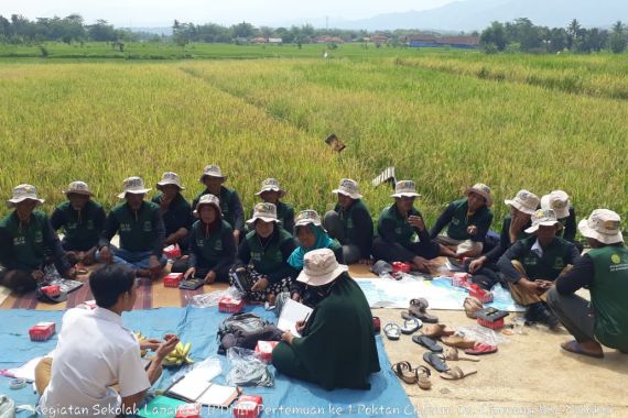 Petani Kuningan Semringah, Produktivitas Panen Meningkat Signifikan - JPNN.COM