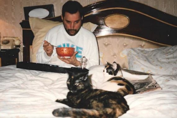 Kematian Freddie Mercury, Keganjilan Kucing, dan Kisah Pemakamannya - JPNN.COM