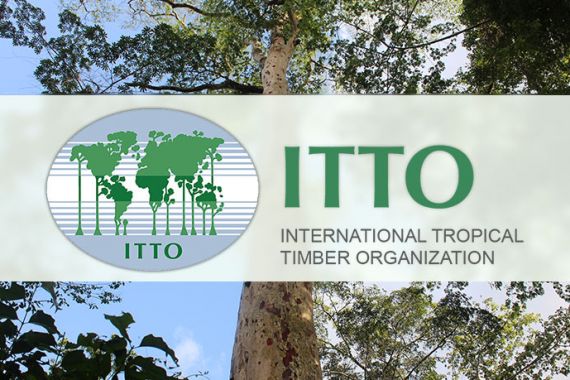 Indonesia Usung Diplomat Senior Ini Jadi Direktur Eksekutif ITTO - JPNN.COM