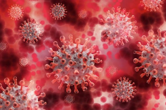 Waspada! Virus Marburg Belum Ada Obatnya, Pahami Gejala dan Cara Mencegahnya - JPNN.COM