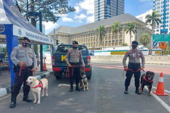 25 Anjing Pelacak Dikerahkan untuk Menghalau Massa Reuni 212 - JPNN.COM