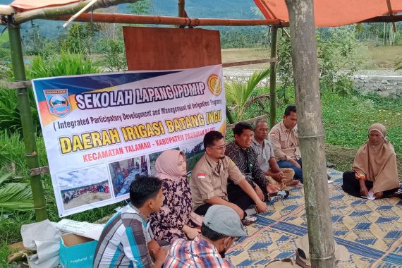 Panen Padi di Pasaman Barat Naik Terus - JPNN.COM